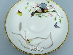 Antique Copeland Porcelain Plate Rare Hand Painted Hummingbird Victorian 19thC