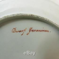 Antique Davenport Botanical Specimen Hand Painted Porcelain Cabinet Plate C. 1815