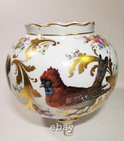 Antique Dresden Georg Heufel 1900 Cache Pot Vase Hand Painted Birds Gilt Floral