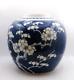 Antique Early 20th C. Hand Painted Chinese Porcelain Prunus Blossoms Ginger Jar