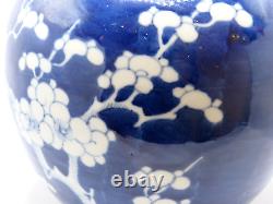 Antique Early 20th C. Hand Painted Chinese Porcelain Prunus Blossoms Ginger Jar