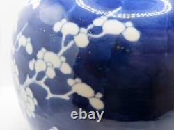 Antique Early 20th C. Hand Painted Chinese Porcelain Prunus Blossoms Ginger Jar