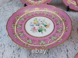 Antique English porcelain hand painted floral pink ground Dessert service