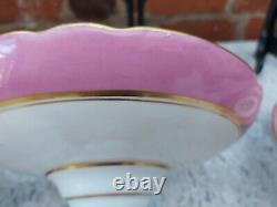 Antique English porcelain hand painted floral pink ground Dessert service