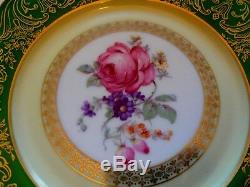 Antique Floral Botanical SET 12 Plates German Porcelain Hand Paint OUTSTANDING