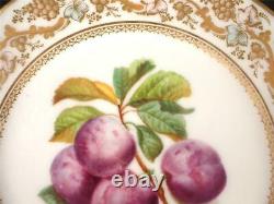 Antique French Porcelain Plate Hand Painted Fruit F Rousseau Medaille D'or Paris