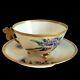 Antique Guerin Limoges Wg & Co Hand Painted Tea Cup & Saucer Dragonfly Handle