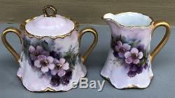 Antique Hutschenreuther Selb Limoges Handpainted Porcelain Chocolate Pot Set