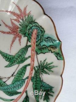 Antique Japanese Imari plate with chicken 1690-1710 handpainted #1810