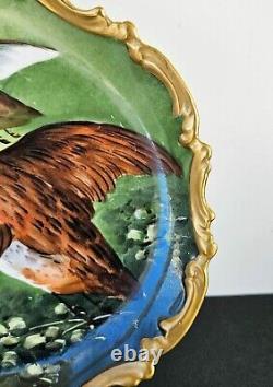 Antique Limoges Porcelain Plate Hand Painted Birds France