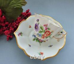 Antique Meissen hand painted Cup & Saucer