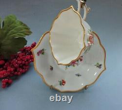 Antique Meissen hand painted Cup & Saucer