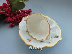 Antique Meissen hand painted Cup & Saucer