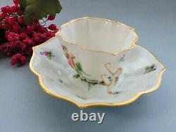 Antique Meissen hand painted Cup & Saucer