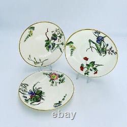 Antique Minton Porcelain Saucer Plates Hand Painted Botanical Flowers 5572 x 3