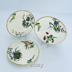 Antique Minton Porcelain Saucer Plates Hand Painted Botanical Flowers 5572 x 3