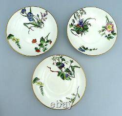 Antique Mintons Porcelain Saucer Plates Hand Painted Botanical Flowers 5572 x 3