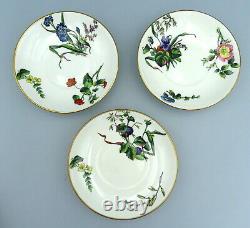 Antique Mintons Porcelain Saucer Plates Hand Painted Botanical Flowers 5572 x 3