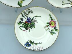 Antique Mintons Porcelain Saucer Plates Hand Painted Botanical Flowers 5572 x 3
