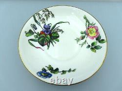 Antique Mintons Porcelain Saucer Plates Hand Painted Botanical Flowers 5572 x 3