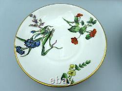 Antique Mintons Porcelain Saucer Plates Hand Painted Botanical Flowers 5572 x 3