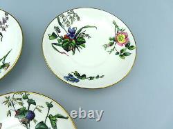 Antique Mintons Porcelain Saucer Plates Hand Painted Botanical Flowers 5572 x 3