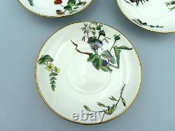 Antique Mintons Porcelain Saucer Plates Hand Painted Botanical Flowers 5572 x 3