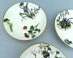 Antique Mintons Porcelain Saucer Plates Hand Painted Botanical Flowers 5572 x 3