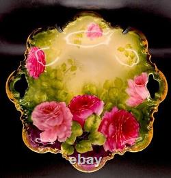 Antique P &T Germany 6 Hand Painted Porcelain Plate Beautiful Floral Mint F/S