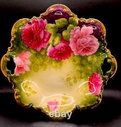 Antique P &T Germany 6 Hand Painted Porcelain Plate Beautiful Floral Mint F/S