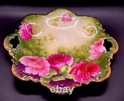 Antique P &T Germany 6 Hand Painted Porcelain Plate Beautiful Floral Mint F/S