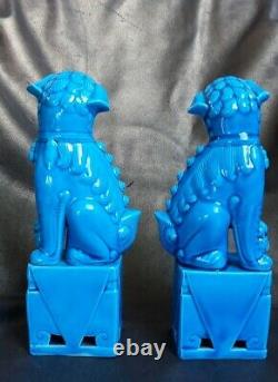 Antique Pair of 21cm Turquoise Blue Porcelain Chinese Foo Dogs