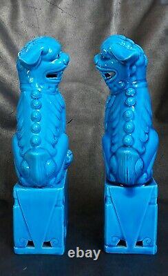 Antique Pair of 21cm Turquoise Blue Porcelain Chinese Foo Dogs