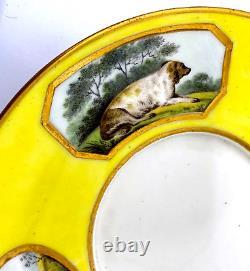 Antique Rare Royal Crown Derby Hand Painted Animal Porcelain Saucer