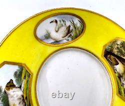 Antique Rare Royal Crown Derby Hand Painted Animal Porcelain Saucer