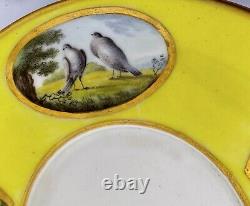 Antique Rare Royal Crown Derby Hand Painted Animal Porcelain Saucer