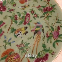 Antique Rose Famille Chinese Cantonese Porcelain Plate Hand Painted Qing