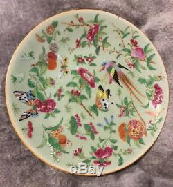 Antique Rose Famille Chinese Porcelain Plate Hand Painted Qing Qianlong Celadon