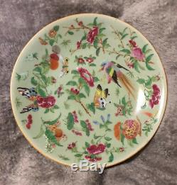 Antique Rose Famille Chinese Porcelain Plate Hand Painted Qing Qianlong Celadon