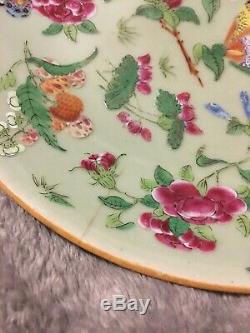 Antique Rose Famille Chinese Porcelain Plate Hand Painted Qing Qianlong Celadon