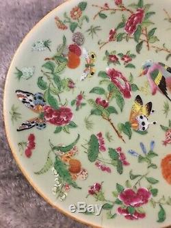 Antique Rose Famille Chinese Porcelain Plate Hand Painted Qing Qianlong Celadon