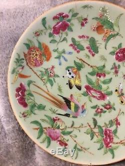 Antique Rose Famille Chinese Porcelain Plate Hand Painted Qing Qianlong Celadon