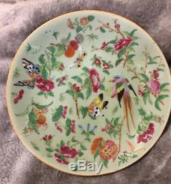 Antique Rose Famille Chinese Porcelain Plate Hand Painted Qing Qianlong Celadon