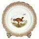 Antique Royal Worcester Vitreous Game Bird Plate Hand-painted Gold Trim 9