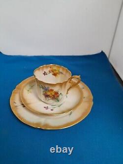 Antique Scots Nautilus Porcelain HandPainted Flowers Tea Trio Cup Saucer Plate