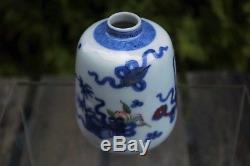 Beautiful Antique Chinese Qing Dynasty Hand-painted Bottle Vase/Water Dropper