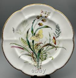 Beautiful Antique Copeland Porcelain Plate Hand Painted With Insects C. 1850