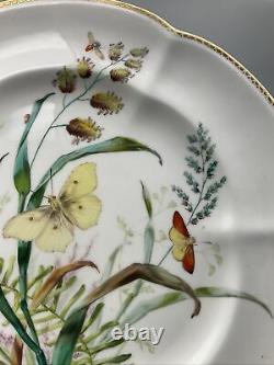 Beautiful Antique Copeland Porcelain Plate Hand Painted With Insects C. 1850
