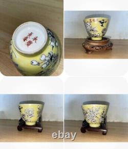 Beautiful Chinese tea cup, Republic Period. With Character Marks