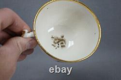 British Hand Painted Black Rose Maroon & Gold Tea Cup & Saucer C. 1815-1825 B